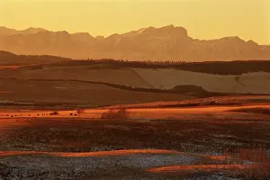 Foothills: Canada, Alberta, Cochrane. Foothills and