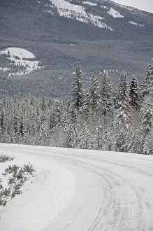 Icefields: Canada, Alberta, Icefields Parkway. Jasper