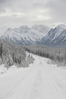 Icefields: Canada, Alberta, Icefields Parkway. Jasper