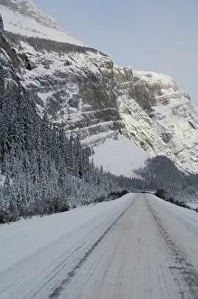 Icefields: Canada, Alberta, Icefields Parkway. Jasper
