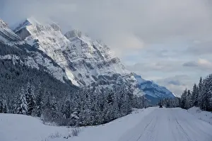 Icefields: Canada, Alberta, Icefields Parkway. Jasper