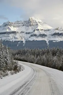 Highway: Canada, Alberta, Icefields Parkway. Jasper
