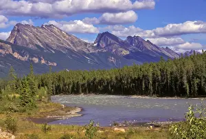 Vision: Canada, Alberta, Jasper National Park. Large