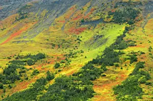 Kananaskis: Canada, Alberta, Kananaskis Country. Autumn