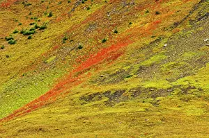 Kananaskis: Canada, Alberta, Kananaskis Country. Autumn
