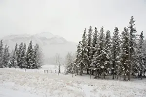 Edmonton: Canada, Alberta. VIA Rail Snow Train between