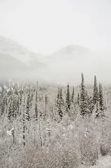 Edmonton: Canada, Alberta. VIA Rail Snow Train between