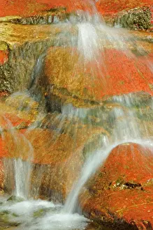 Waterton: Canada, Alberta, Waterton Lakes National