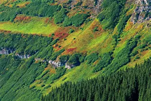 Waterton: Canada, Alberta, Waterton Lakes National