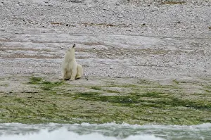 Qikiqtaaluk: Canada, Arctic Archipelago, Hudson Strait