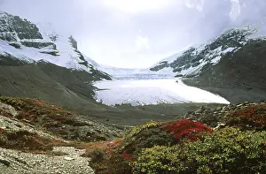 Features: CANADA - Athabasca Glacier - Jasper National Park