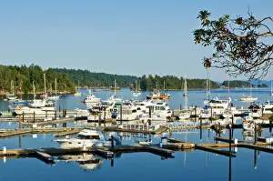 Yacht: Canada, BC, Gulf Islands, Salt Spring Island
