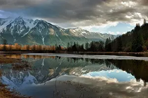Composite: Canada, British Columbia, Agassiz, Seabird