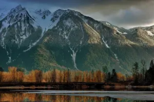 Composite: Canada, British Columbia, Agassiz, Seabird