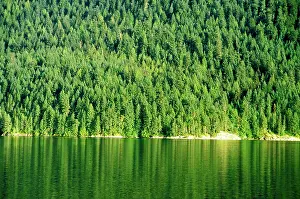 Desolation: Canada, British Columbia, Desolation Sound