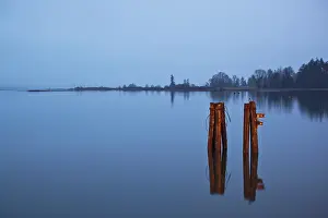 Dock: Canada, British Columbia, Dock pilings at