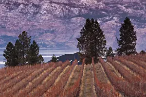 Okanagan: Canada, British Columbia, Okanagan Valley