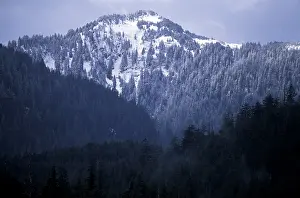 Charlotte: Canada, British Columbia, Queen Charlotte