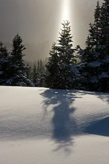 Falling: Canada, British Columbia, Smithers. A sun