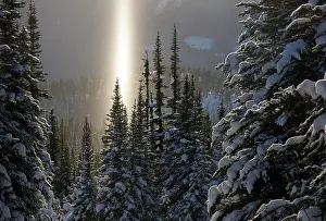 Falling: Canada, British Columbia, Smithers. A sun