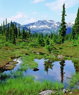 Tarn: Canada, British Columbia. A tarn in the