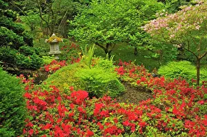Vancouver: Canada, British Columbia, Vancouver Island