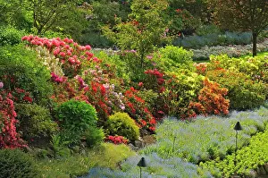 Vancouver: Canada, British Columbia, Vancouver Island