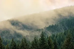 Vancouver: Canada, British Columbia, Vancouver Island