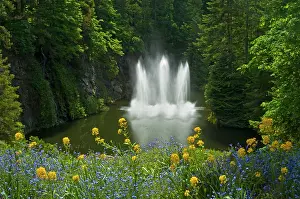 Vancouver: Canada, British Columbia, Vancouver Island