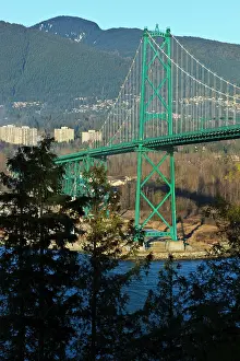 Suspension: Canada, British Columbia, Vancouver, Stanley