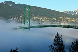 Suspension: Canada, British Columbia, Vancouver, Stanley