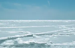 Harp: Canada - crevice in ice, harp seal habitat