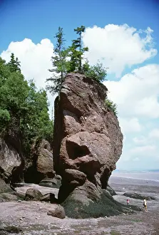 Fundy: CANADA - eroded rock - Flower Pot Rock, at low