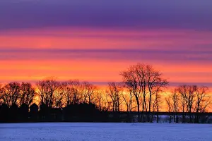 Dauphin: Canada, Manitoba, Dauphin. Farmstead at