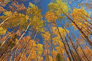 Manitoba: Canada, Manitoba, Duck Mountain Provincial Park