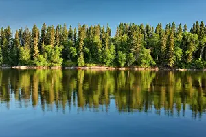 Manitoba: Canada, Manitoba, Paint Lake Provincial Park. Forest
