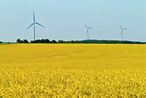 Commerce: Canada, Manitoba, Somerset. Wind turbines