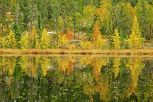 Whiteshell: Canada, Manitoba, Whiteshell Provincial