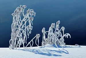 Coated: Canada, Manitoba, Whiteshell Provincial
