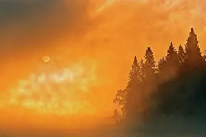 Whiteshell: Canada, Manitoba, Whiteshell Provincial Park. Foggy