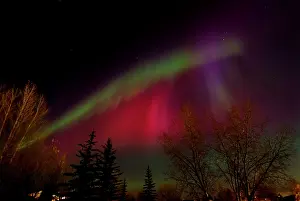 Borealis: Canada, Manitoba, Winnipeg. Northern lights