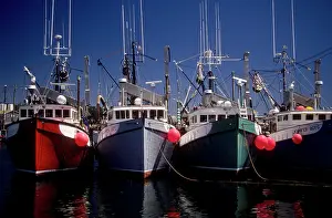 Moored: Canada: New Brunswick, Grand Manan, North