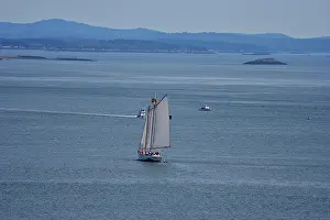 Sailing: Canada, New Brunswick. A sailboat viewed