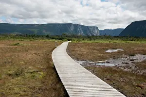 Walkway: Canada, Newfoundland, Gros Morne National