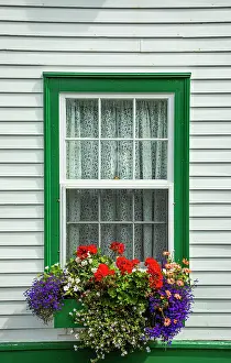 Window: Canada, Newfoundland and Labrador. Window in Brigus