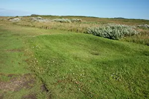 Viking: Canada, Newfoundland, L'Anse aux Meadows