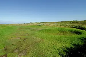Negative: Canada, Newfoundland, L'Anse aux Meadows