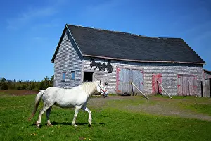 Scotia: Canada, Nova Scotia, Guysborough County