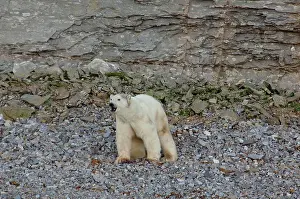 Qikiqtaaluk: Canada, Nunavut, Akpatok Island. Uninhabited
