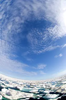 Breaking: Canada, Nunavut. Ice floes cruising Foxe